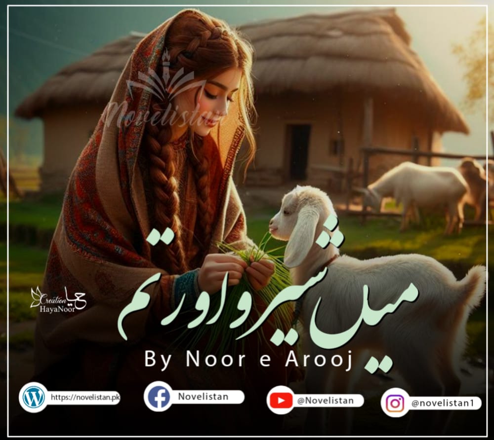 Mein Shero Or Tum  By Noor E Arooj