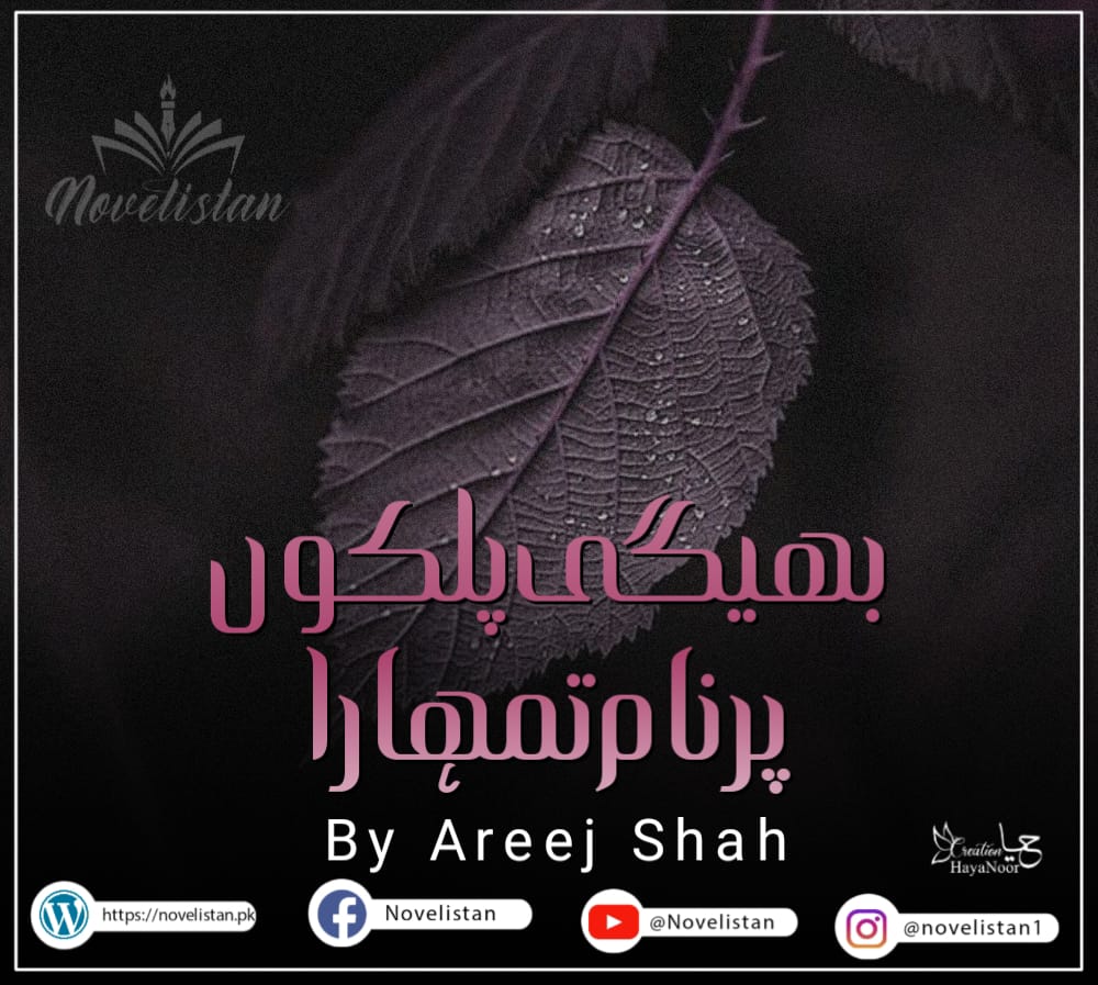 Bheegi Palko Par Naam Tumhara Hai  By Areej Shah