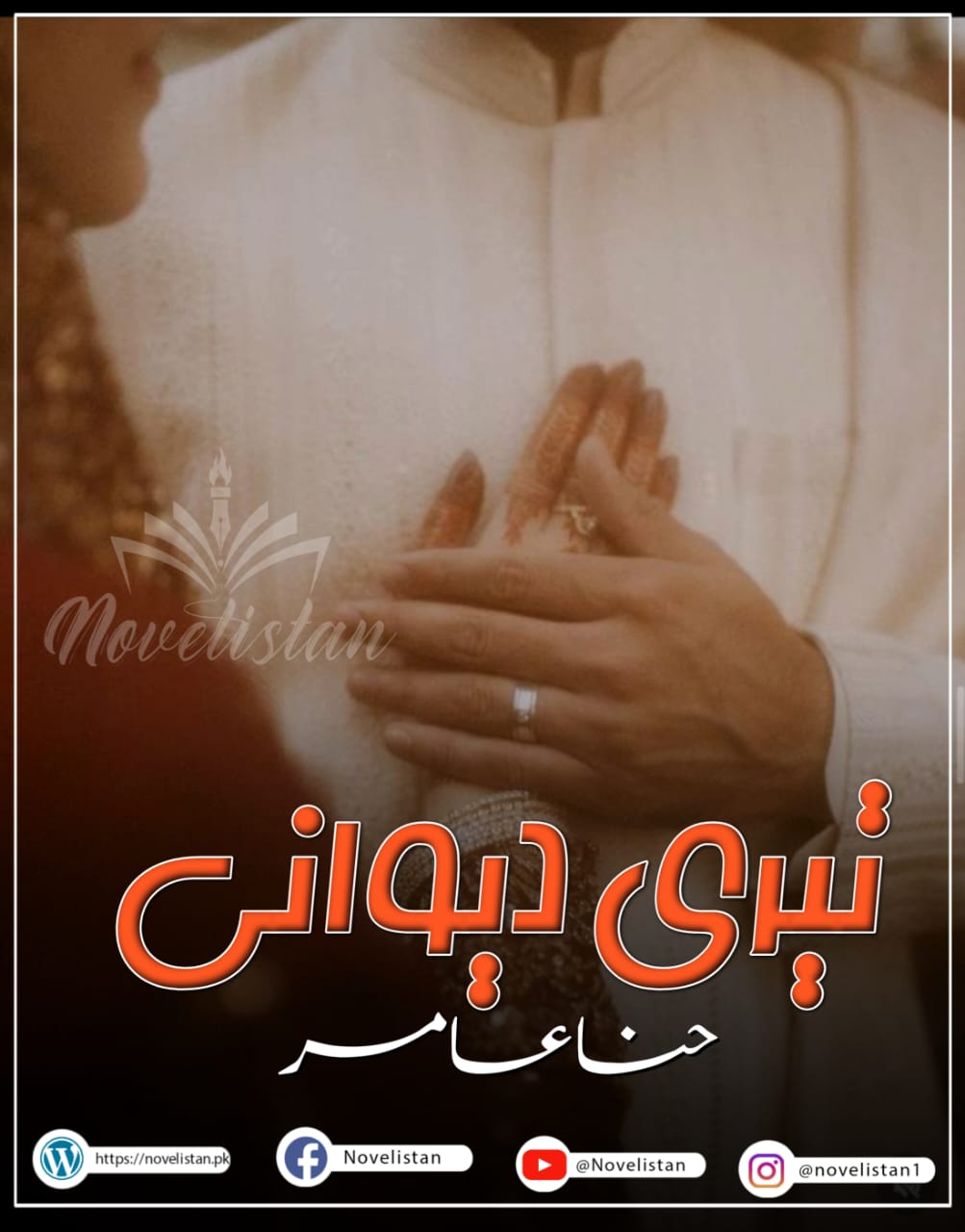 Teri Deewani By Hina Amir Novel20052