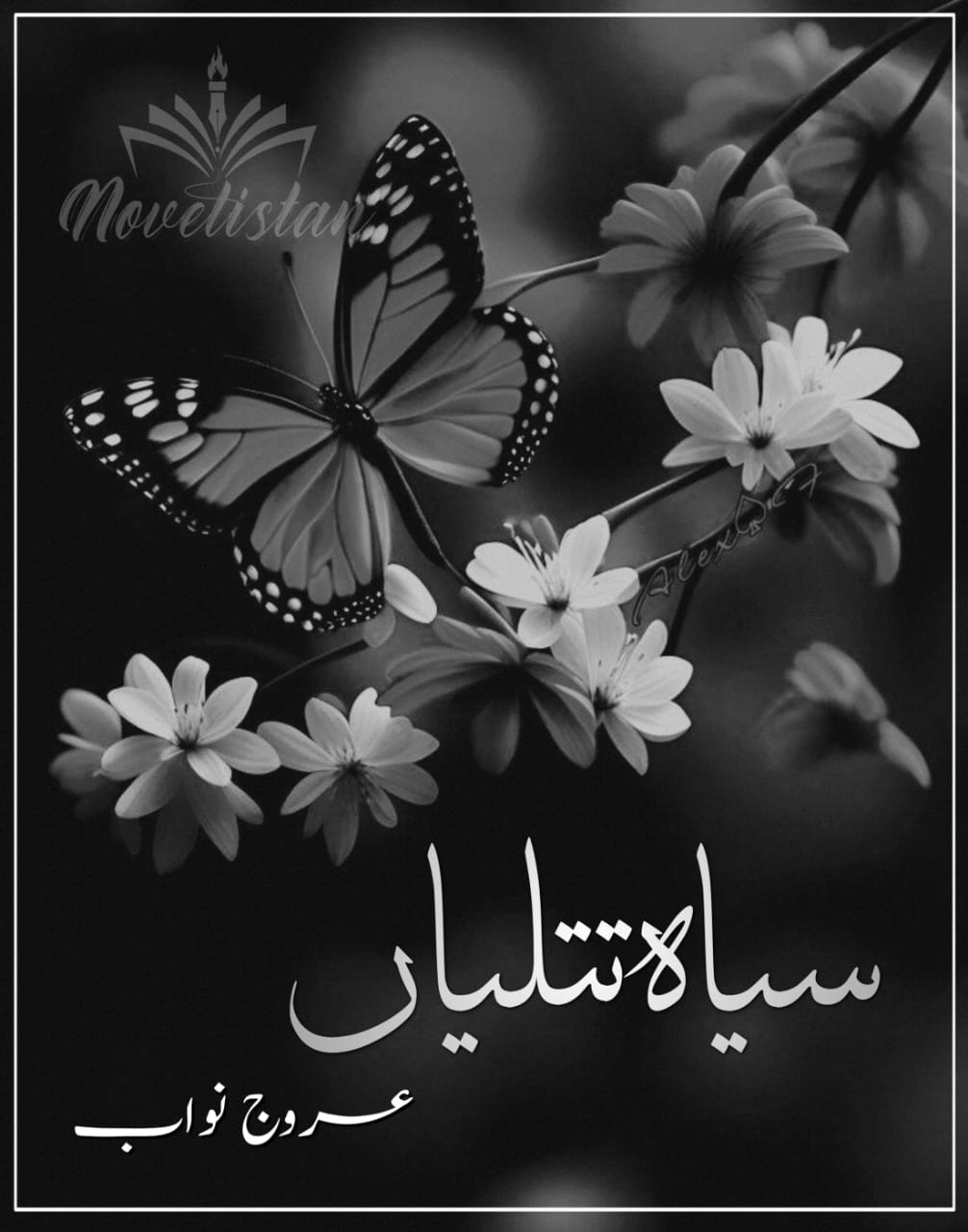 Siyah titliyan by Arooj Nawab Novel20224