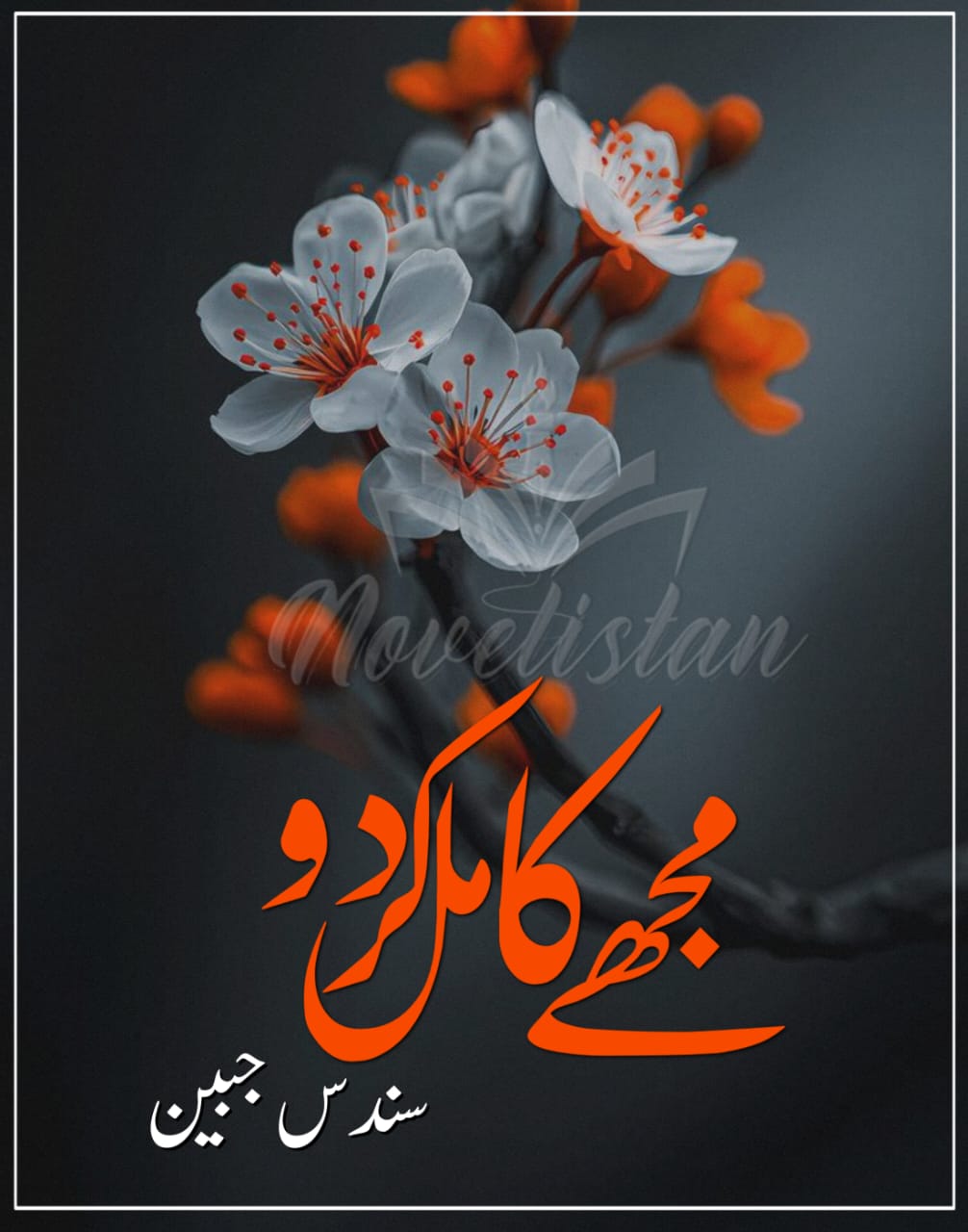 Mujhe Mukammal Krdo by Sundas Jabeen Novel20281