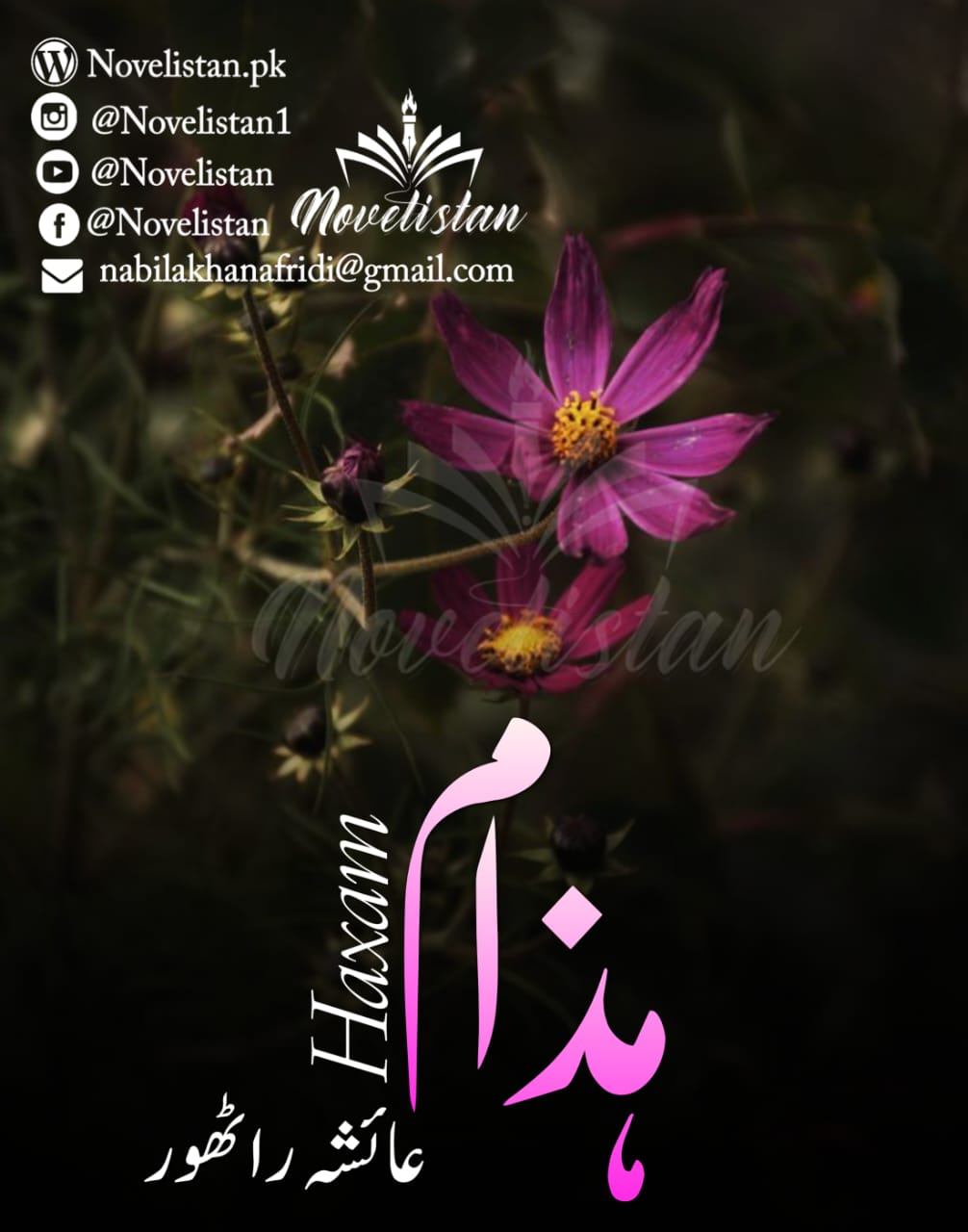 Haxam By Ayesha Rathore Novel20376