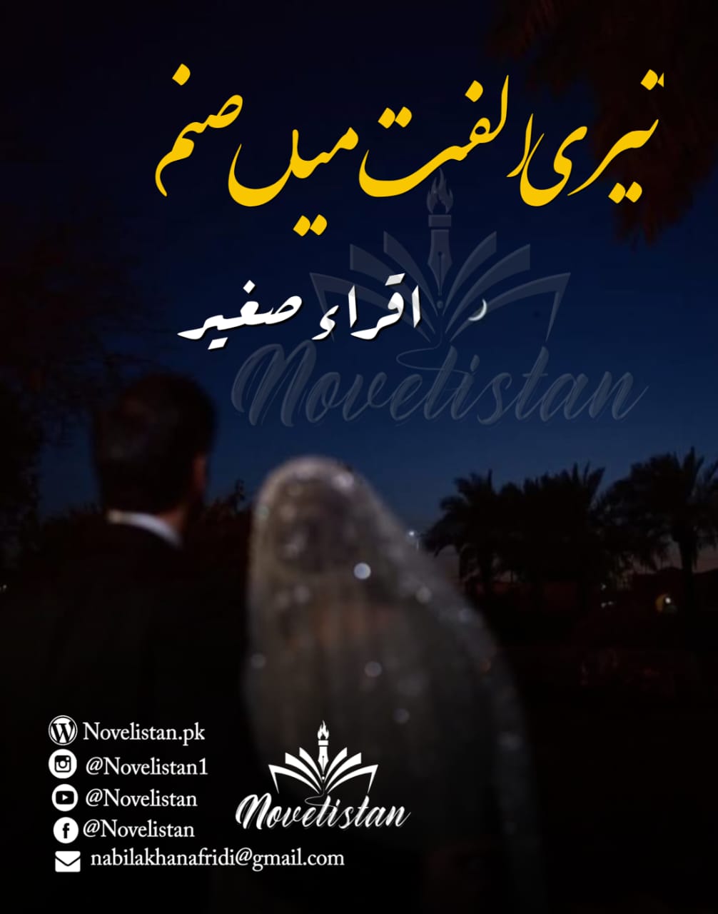Teri Ulfat Mein Sanam by Iqra Sagheer Ahmed Novel20345