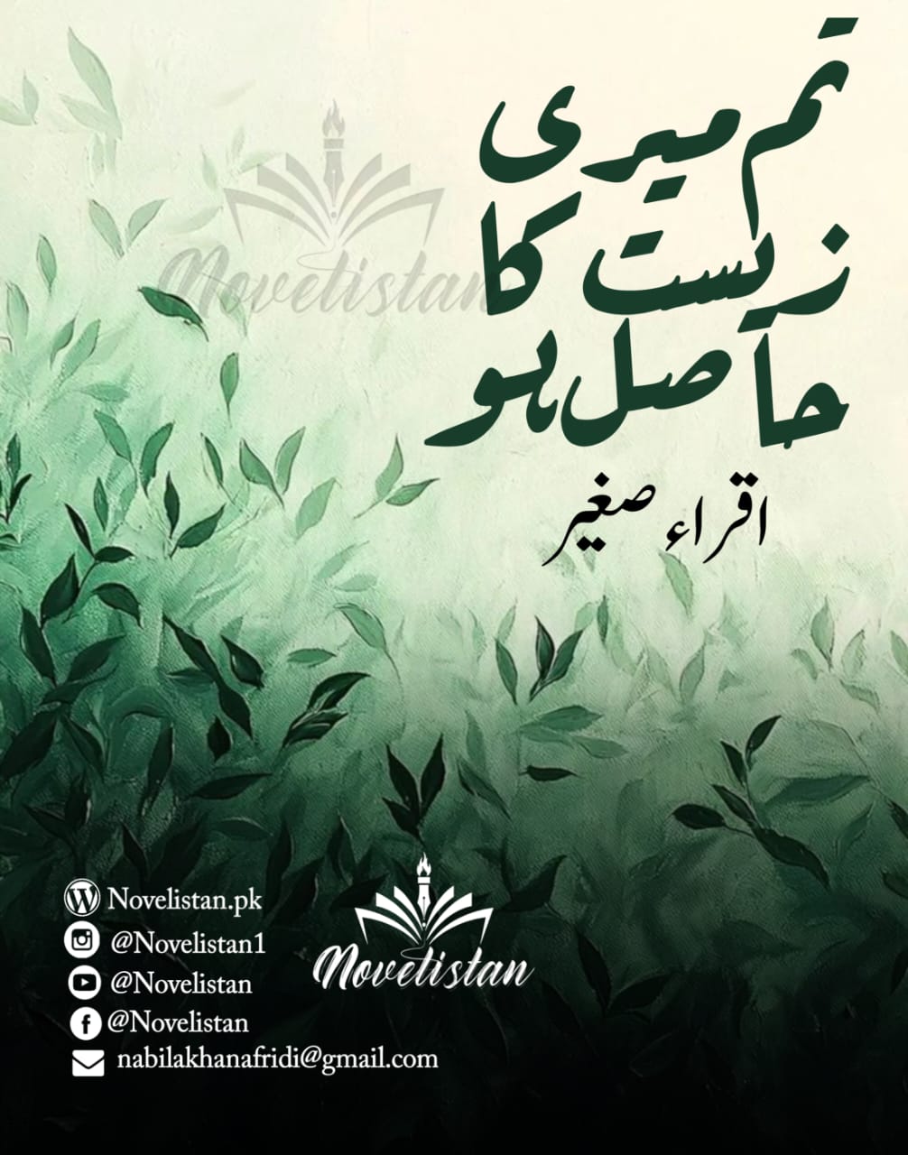 Tum Meri Zeest Ka Hasil Ho by Iqra Sagheer Ahmed Novel20344