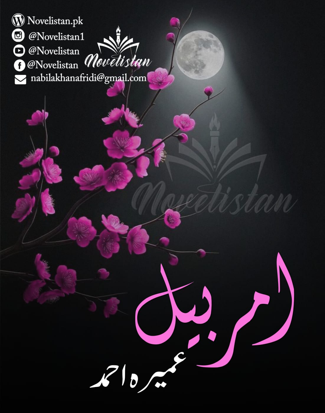 Amarbail By Umera Ahmed Novel20367