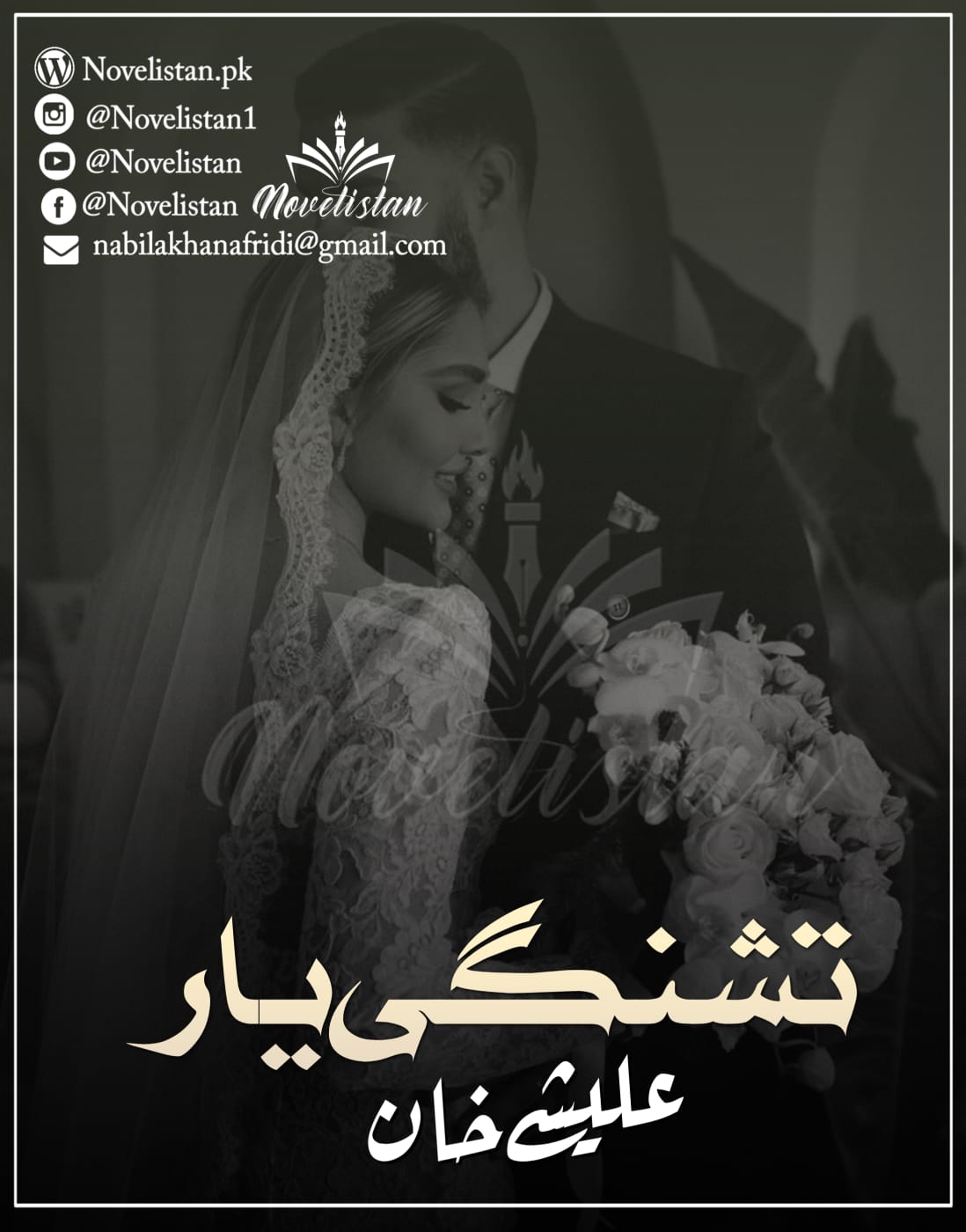 Tashnagi e Yaar By Alishey Khan Novel20410